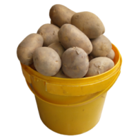 Potato - Irish (1 Paint Bucket, 4kg)